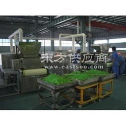 一步供應(yīng)脫水蔬菜帶式干燥機