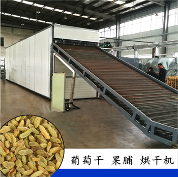 高效烘干設(shè)備 平安棗烘干機(jī)網(wǎng)帶、果蔬烘干機(jī)鏈板與金銀花烘干傳送帶的應(yīng)用與優(yōu)勢